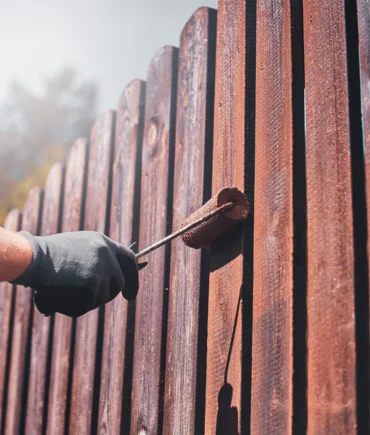 Exterior Staining - 3
